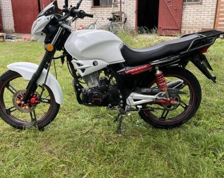 Вайпер Інша, об'ємом двигуна 0.2 л та пробігом 0 тис. км за 968 $, фото 3 на Automoto.ua