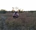 Вайпер Другая, объемом двигателя 0.2 л и пробегом 0 тыс. км за 728 $, фото 2 на Automoto.ua