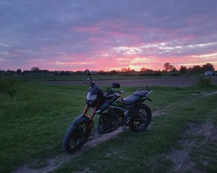 Вайпер Другая 2022 в Владимир-Волынский на Automoto.ua Вайпер Другая, объемом двигателя 0.2 л и пробегом 0 тыс. км за 1100 $, фото 3 на Automoto.ua