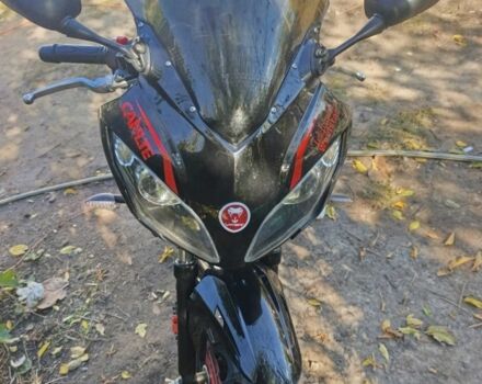 Вайпер Другая, объемом двигателя 0.25 л и пробегом 0 тыс. км за 1214 $, фото 2 на Automoto.ua