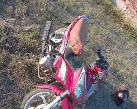 Вайпер Інша, об'ємом двигуна 0.11 л та пробігом 0 тис. км за 131 $, фото 3 на Automoto.ua