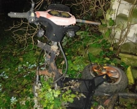 Вайпер Інша, об'ємом двигуна 50 л та пробігом 0 тис. км за 24 $, фото 3 на Automoto.ua