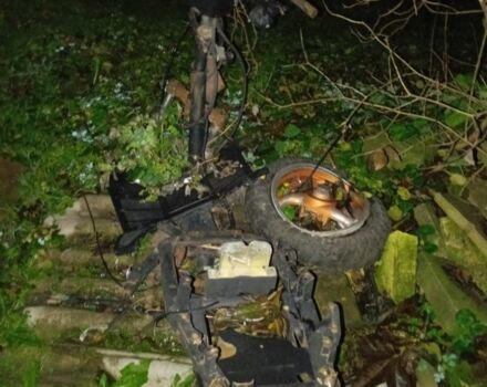 Вайпер Інша, об'ємом двигуна 50 л та пробігом 0 тис. км за 24 $, фото 4 на Automoto.ua