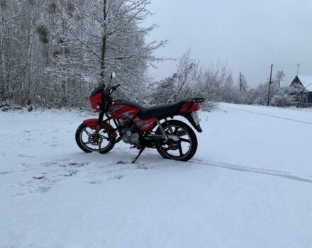 Вайпер Інша, об'ємом двигуна 0.15 л та пробігом 0 тис. км за 343 $, фото 4 на Automoto.ua