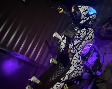 Вайпер Другая, объемом двигателя 0.2 л и пробегом 0 тыс. км за 596 $, фото 7 на Automoto.ua