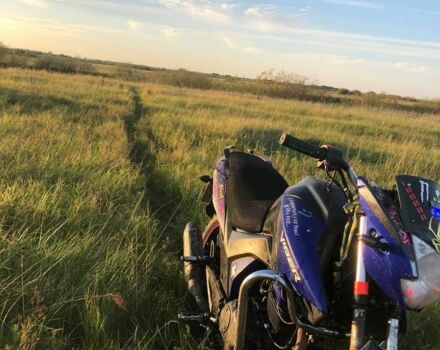 Вайпер Другая, объемом двигателя 0.2 л и пробегом 0 тыс. км за 13 $, фото 2 на Automoto.ua