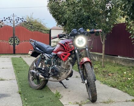 Вайпер Другая, объемом двигателя 0.16 л и пробегом 0 тыс. км за 830 $, фото 5 на Automoto.ua