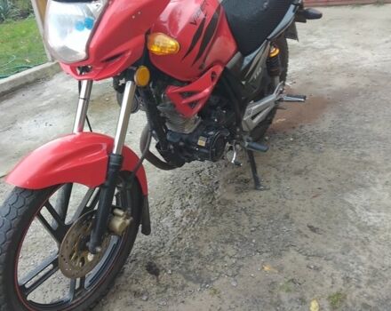 Вайпер Другая, объемом двигателя 0.15 л и пробегом 0 тыс. км за 455 $, фото 3 на Automoto.ua