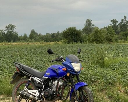 Вайпер Інша, об'ємом двигуна 0.15 л та пробігом 0 тис. км за 849 $, фото 1 на Automoto.ua