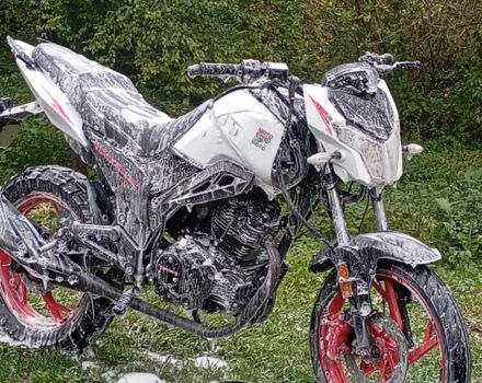 Вайпер Інша, об'ємом двигуна 0.2 л та пробігом 0 тис. км за 800 $, фото 4 на Automoto.ua