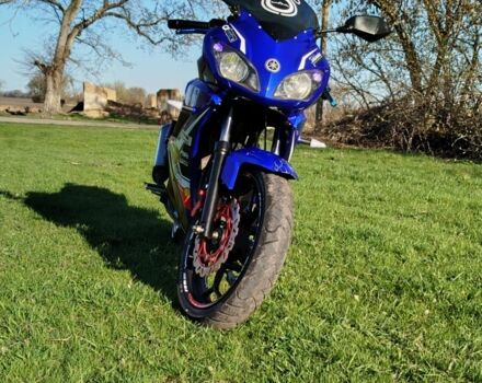 Вайпер Інша, об'ємом двигуна 0.25 л та пробігом 0 тис. км за 1100 $, фото 10 на Automoto.ua