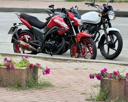 Вайпер Другая, объемом двигателя 0.2 л и пробегом 0 тыс. км за 1073 $, фото 6 на Automoto.ua