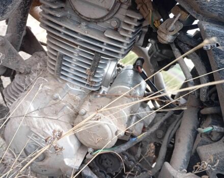 Вайпер Другая, объемом двигателя 0.25 л и пробегом 0 тыс. км за 591 $, фото 3 на Automoto.ua