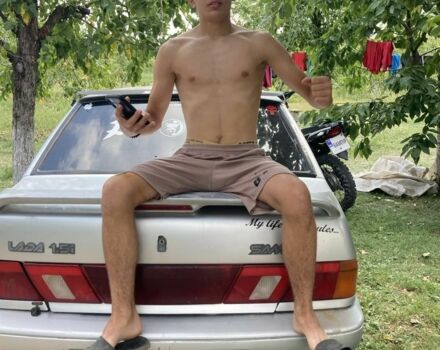 Вайпер Другая, объемом двигателя 0.25 л и пробегом 0 тыс. км за 1100 $, фото 10 на Automoto.ua