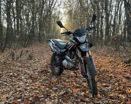 Вайпер Інша, об'ємом двигуна 0.25 л та пробігом 0 тис. км за 991 $, фото 6 на Automoto.ua