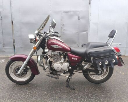 Вайпер Інша, об'ємом двигуна 0.25 л та пробігом 0 тис. км за 1200 $, фото 6 на Automoto.ua