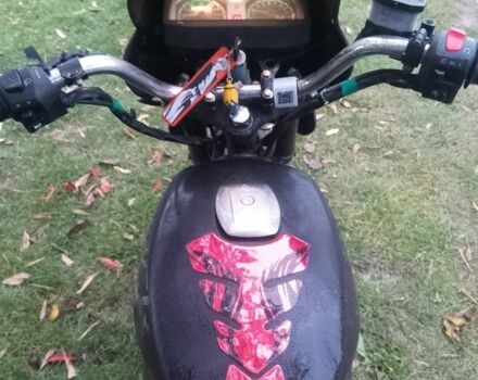 Вайпер Другая 2013 в Владимир-Волынский на Automoto.ua Вайпер Другая, объемом двигателя 0.14 л и пробегом 0 тыс. км за 383 $, фото 4 на Automoto.ua