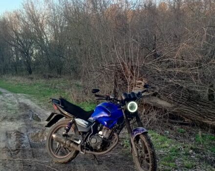 Вайпер Другая 2014 в Ямполе на Automoto.ua Вайпер Другая, объемом двигателя 0.18 л и пробегом 0 тыс. км за 525 $, фото 9 на Automoto.ua