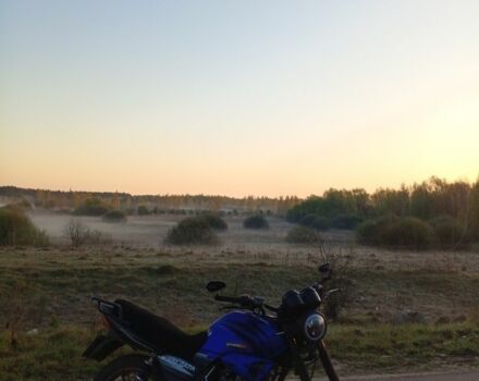 Вайпер Другая 2014 в Ямполе на Automoto.ua Вайпер Другая, объемом двигателя 0.18 л и пробегом 0 тыс. км за 525 $, фото 2 на Automoto.ua