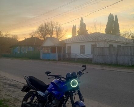 Вайпер Другая 2014 в Ямполе на Automoto.ua Вайпер Другая, объемом двигателя 0.18 л и пробегом 0 тыс. км за 525 $, фото 5 на Automoto.ua