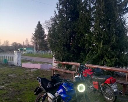 Вайпер Другая 2014 в Ямполе на Automoto.ua Вайпер Другая, объемом двигателя 0.18 л и пробегом 0 тыс. км за 525 $, фото 8 на Automoto.ua