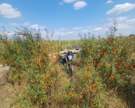 Вайпер Другая, объемом двигателя 0.2 л и пробегом 0 тыс. км за 664 $, фото 1 на Automoto.ua