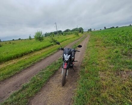 Вайпер Другая, объемом двигателя 0.2 л и пробегом 0 тыс. км за 664 $, фото 2 на Automoto.ua