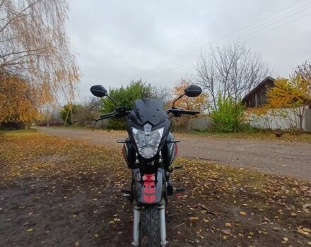 Вайпер Другая, объемом двигателя 0.2 л и пробегом 0 тыс. км за 664 $, фото 6 на Automoto.ua