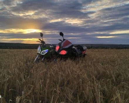 Вайпер Другая, объемом двигателя 0.2 л и пробегом 0 тыс. км за 432 $, фото 3 на Automoto.ua