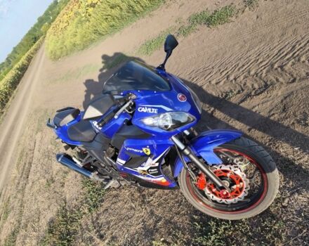 Вайпер Другая, объемом двигателя 0.25 л и пробегом 0 тыс. км за 1230 $, фото 6 на Automoto.ua