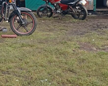 Вайпер Другая, объемом двигателя 0.2 л и пробегом 0 тыс. км за 240 $, фото 1 на Automoto.ua