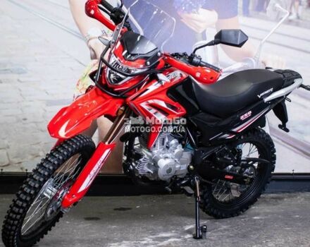 Вайпер Інша, об'ємом двигуна 0.25 л та пробігом 0 тис. км за 1450 $, фото 3 на Automoto.ua