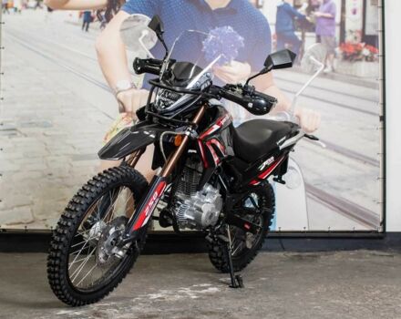 Вайпер Інша, об'ємом двигуна 0.25 л та пробігом 0 тис. км за 1450 $, фото 3 на Automoto.ua