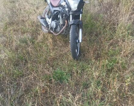 Вайпер Другая, объемом двигателя 0.2 л и пробегом 0 тыс. км за 405 $, фото 3 на Automoto.ua