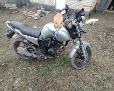 Вайпер Другая, объемом двигателя 0.2 л и пробегом 0 тыс. км за 831 $, фото 2 на Automoto.ua