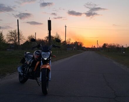 Вайпер Другая, объемом двигателя 0.2 л и пробегом 0 тыс. км за 934 $, фото 2 на Automoto.ua