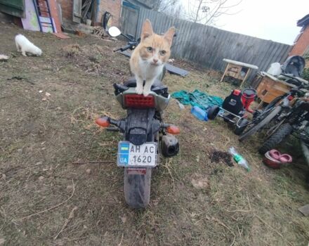 Вайпер Другая, объемом двигателя 0.2 л и пробегом 0 тыс. км за 831 $, фото 3 на Automoto.ua