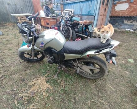 Вайпер Другая, объемом двигателя 0.2 л и пробегом 0 тыс. км за 831 $, фото 4 на Automoto.ua