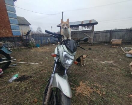 Вайпер Другая, объемом двигателя 0.2 л и пробегом 0 тыс. км за 831 $, фото 1 на Automoto.ua