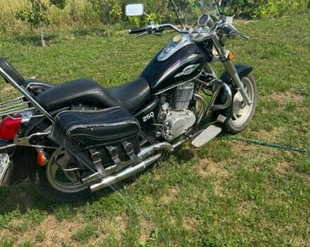 Вайпер Другая, объемом двигателя 0.25 л и пробегом 0 тыс. км за 1000 $, фото 1 на Automoto.ua