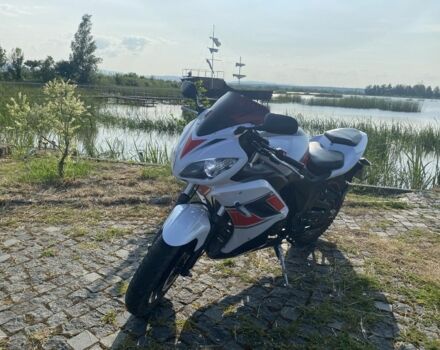 Вайпер Інша, об'ємом двигуна 0.22 л та пробігом 0 тис. км за 1100 $, фото 4 на Automoto.ua