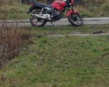 Вайпер Другая, объемом двигателя 0.15 л и пробегом 0 тыс. км за 710 $, фото 5 на Automoto.ua