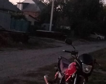 Вайпер Другая, объемом двигателя 0.15 л и пробегом 0 тыс. км за 544 $, фото 1 на Automoto.ua