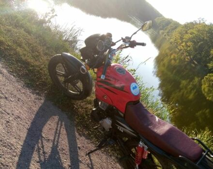 Вайпер Другая, объемом двигателя 0.15 л и пробегом 0 тыс. км за 544 $, фото 3 на Automoto.ua