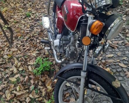 Вайпер Інша, об'ємом двигуна 0.11 л та пробігом 0 тис. км за 369 $, фото 3 на Automoto.ua