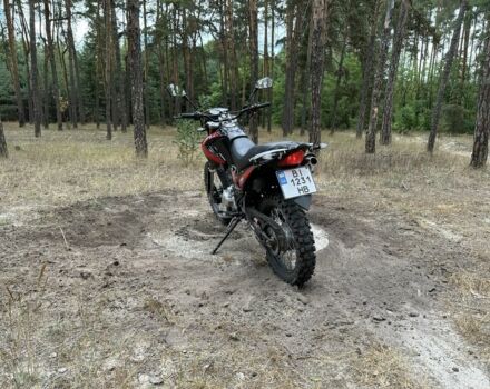 Вайпер Інша, об'ємом двигуна 0.25 л та пробігом 0 тис. км за 1017 $, фото 3 на Automoto.ua