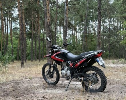 Вайпер Інша, об'ємом двигуна 0.25 л та пробігом 0 тис. км за 1017 $, фото 2 на Automoto.ua