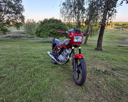 Вайпер Інша, об'ємом двигуна 0.15 л та пробігом 0 тис. км за 601 $, фото 5 на Automoto.ua
