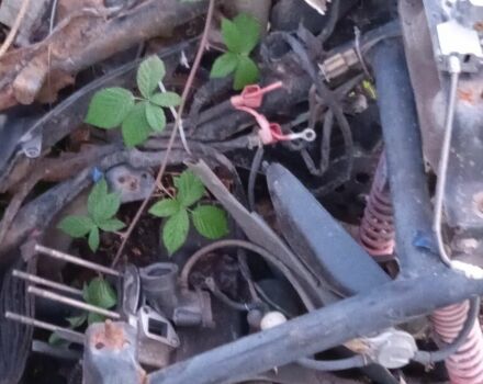 Вайпер Інша, об'ємом двигуна 80 л та пробігом 0 тис. км за 24 $, фото 2 на Automoto.ua