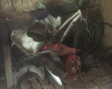 Вайпер Інша, об'ємом двигуна 72 л та пробігом 0 тис. км за 95 $, фото 6 на Automoto.ua